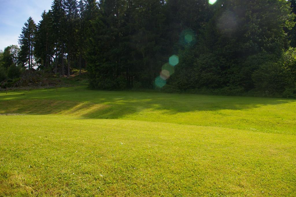 Penzion U Lipna Predni Vyton Exterior photo